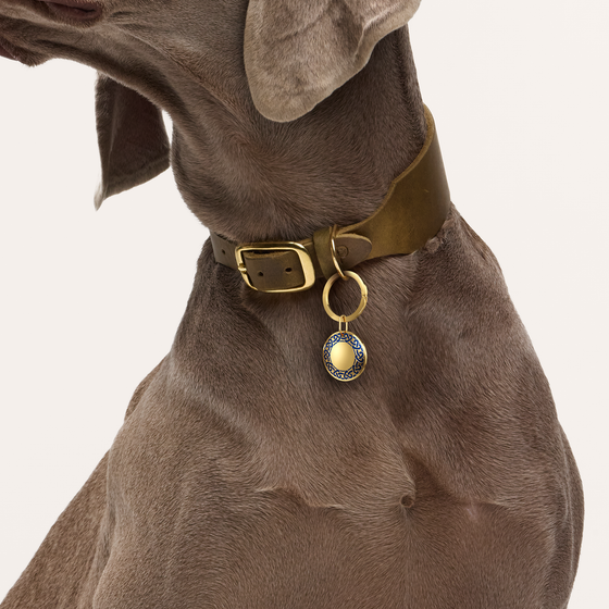 Hunde